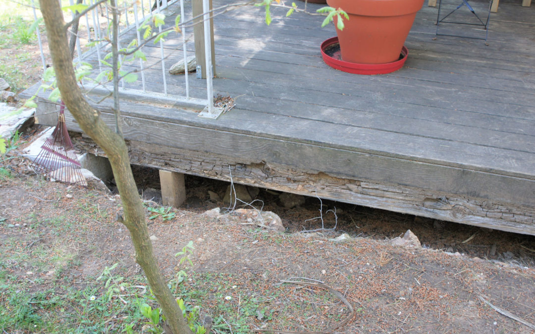 Dégradation de structure bois – La Londe