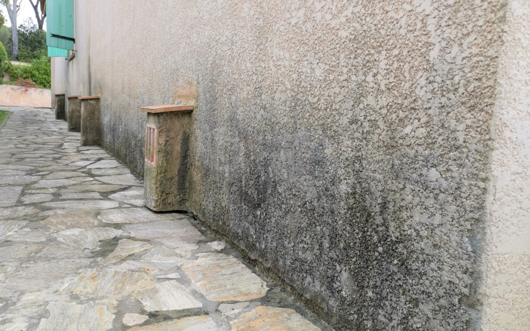 Humidité en façades – La Croix Valmer